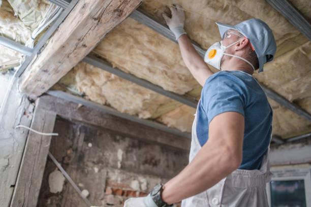 Best Geographic-Specific Insulation Services in Soperton, GA