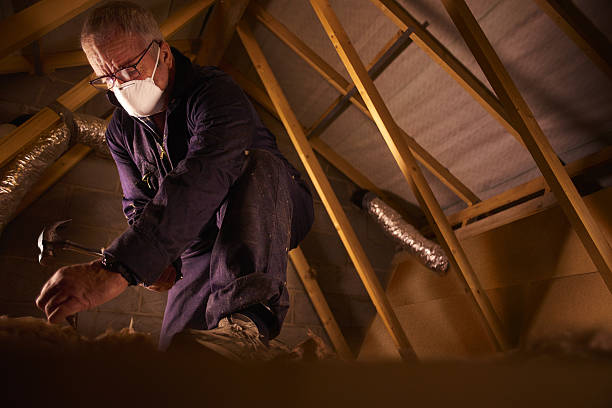 Types of Insulation We Offer in Soperton, GA